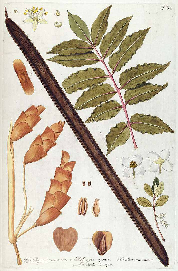 no HD illustration available (3)