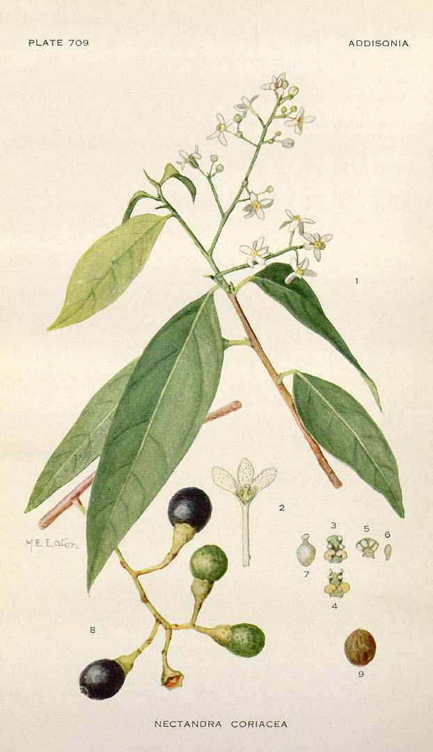 no HD illustration available (3)