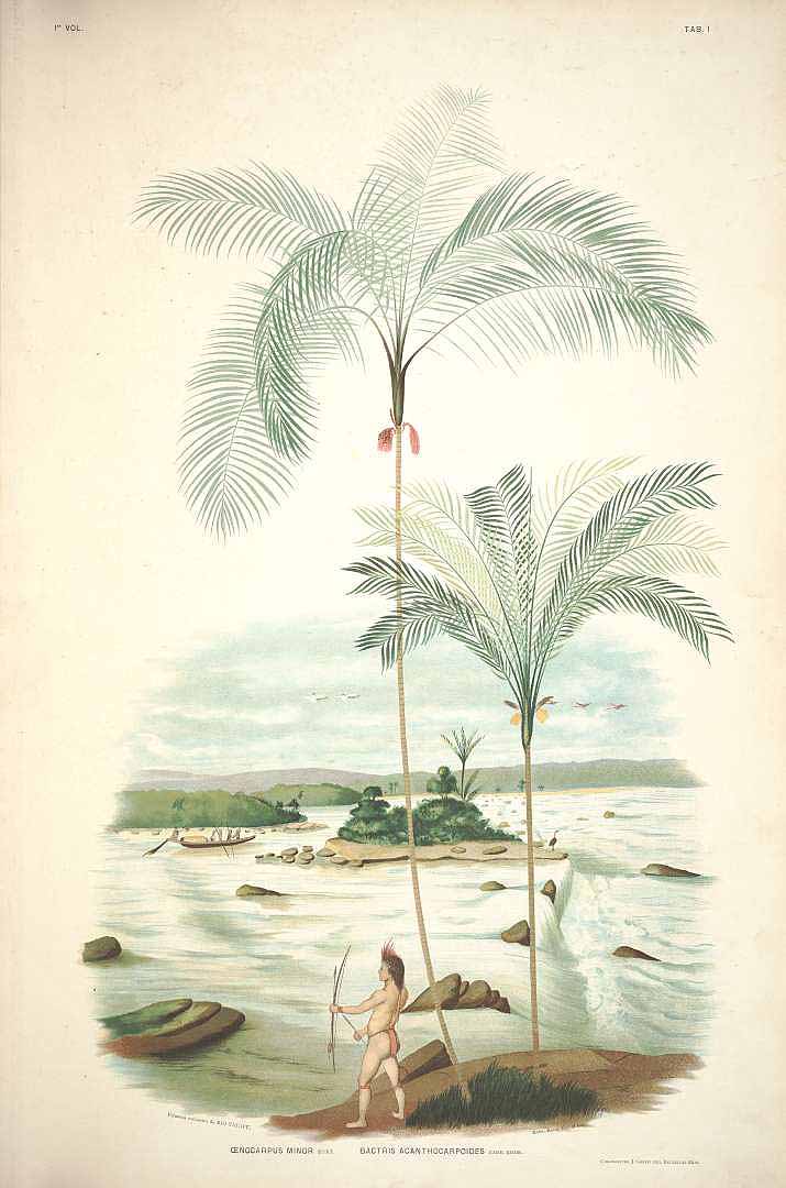 no HD illustration available (3)