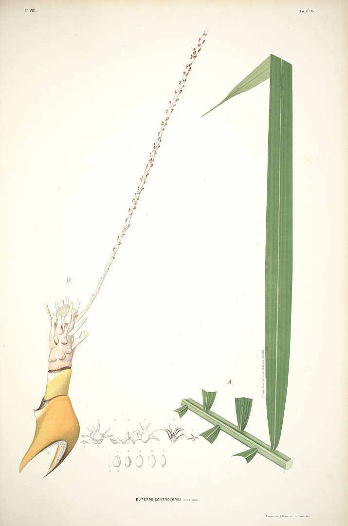 no HD illustration available (3)