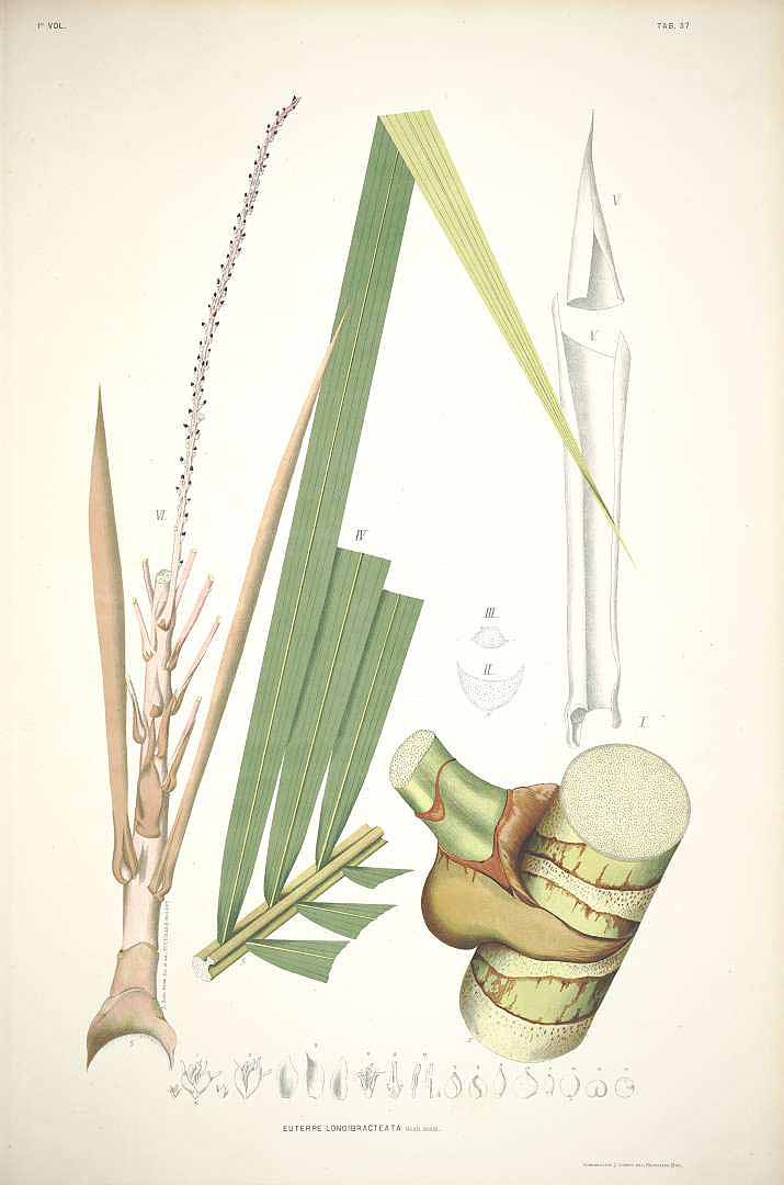 no HD illustration available (3)