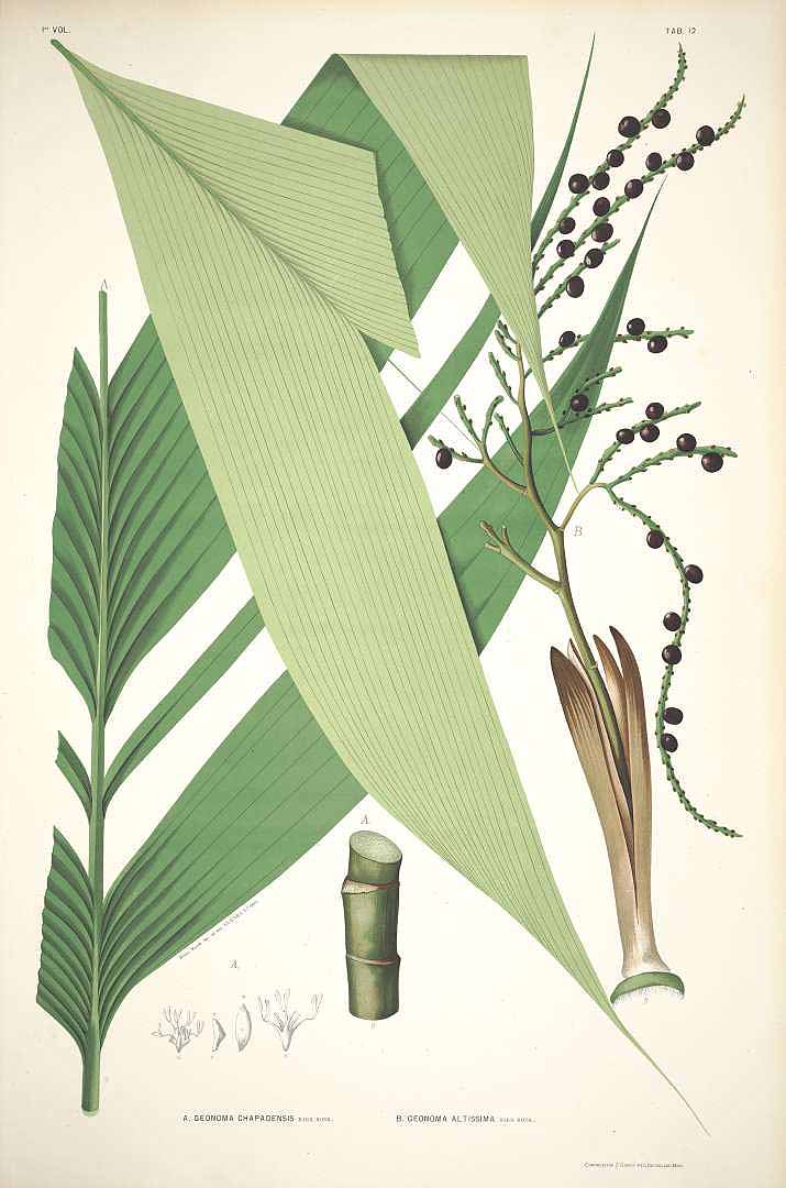 no HD illustration available (3)