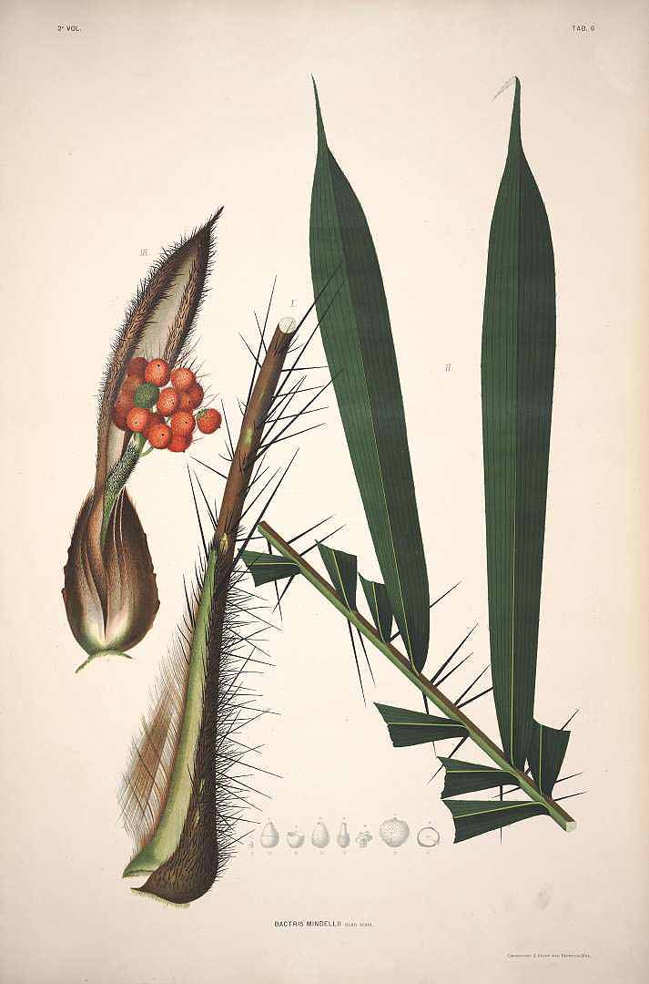 no HD illustration available (3)