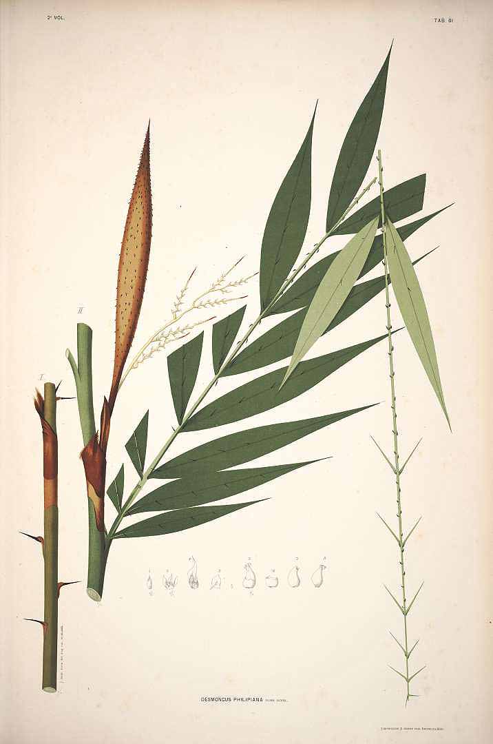 no HD illustration available (3)