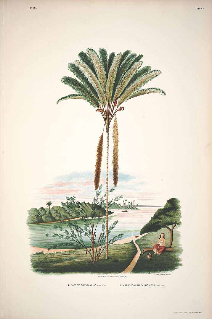 no HD illustration available (3)