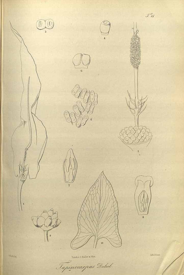 no HD illustration available (3)