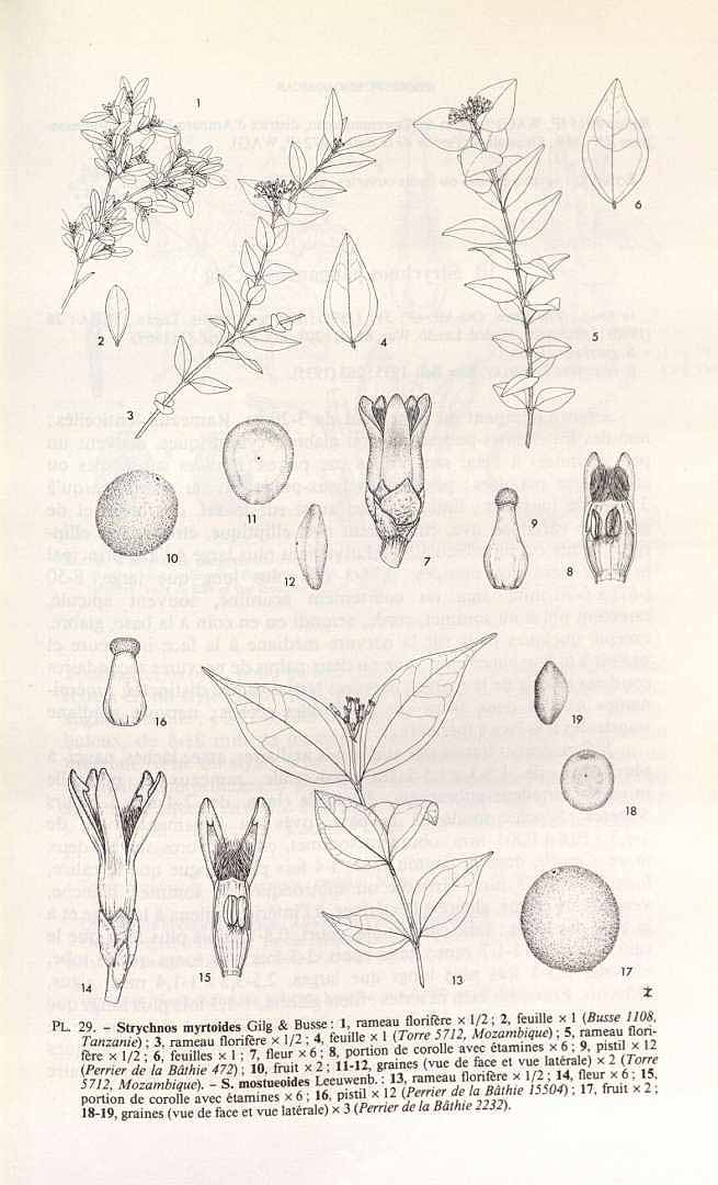 no HD illustration available (3)