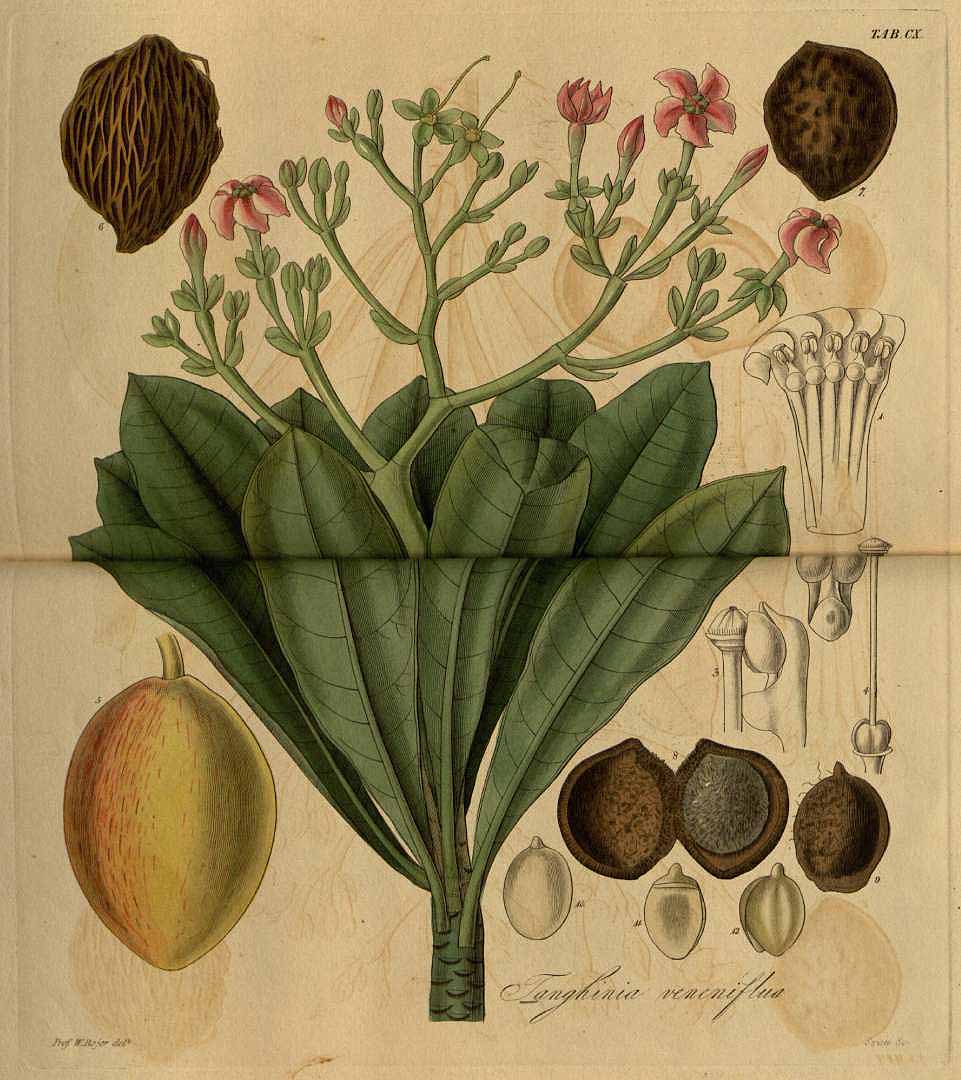 no HD illustration available (3)