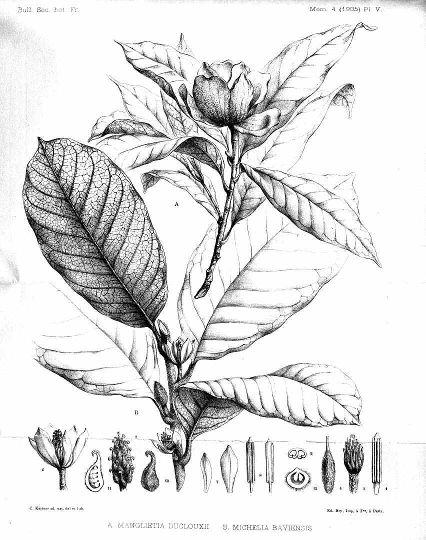 no HD illustration available (3)