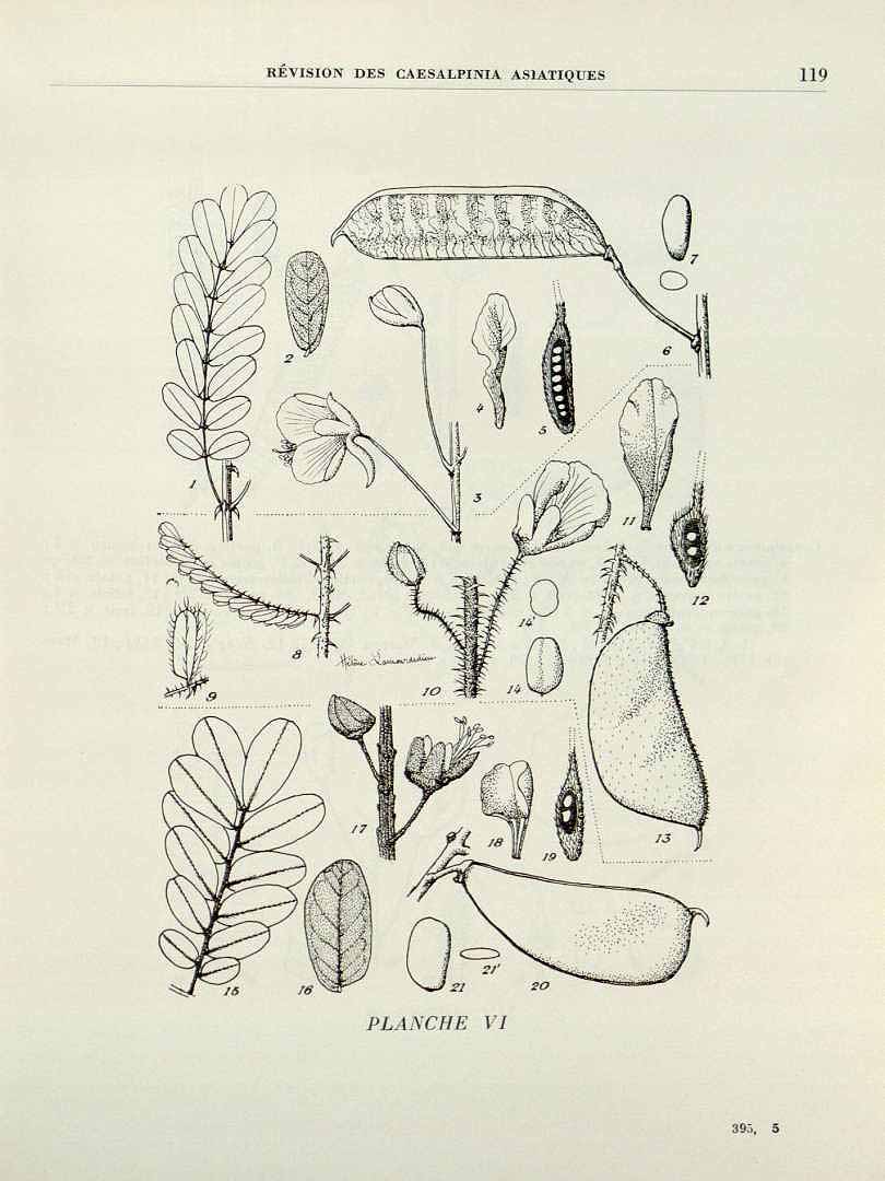 no HD illustration available (3)