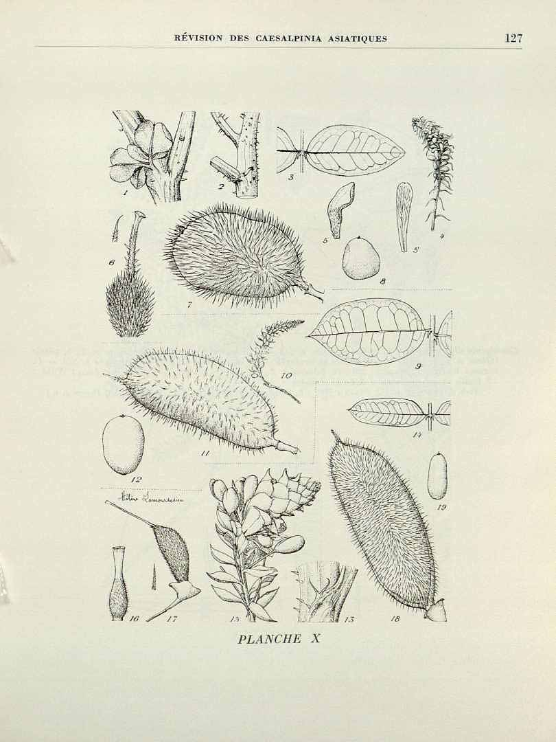 no HD illustration available (3)