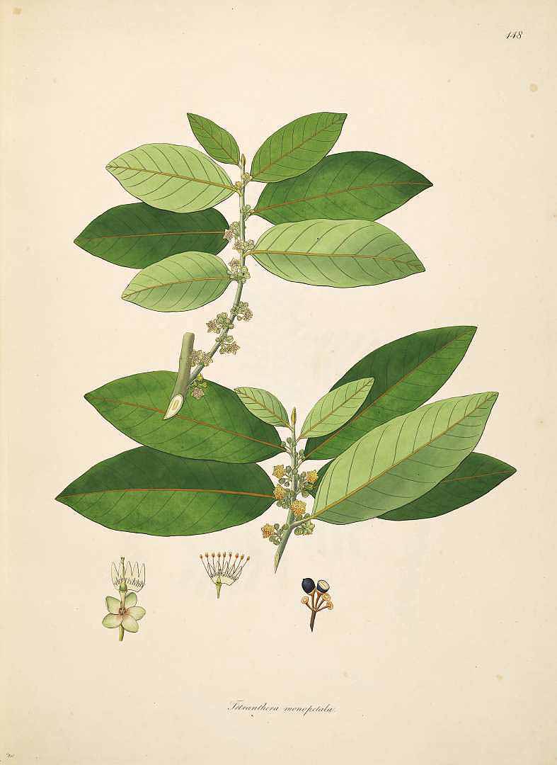 no HD illustration available (3)