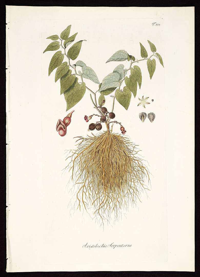 no HD illustration available (3)