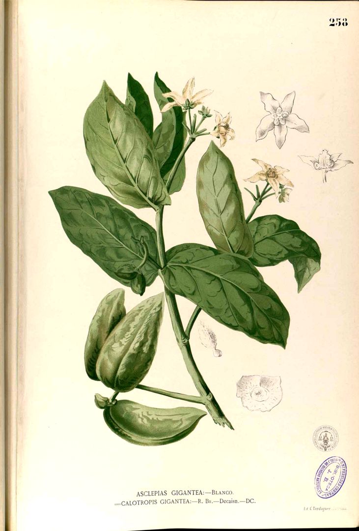 no HD illustration available (3)