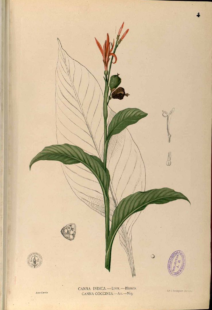 no HD illustration available (3)