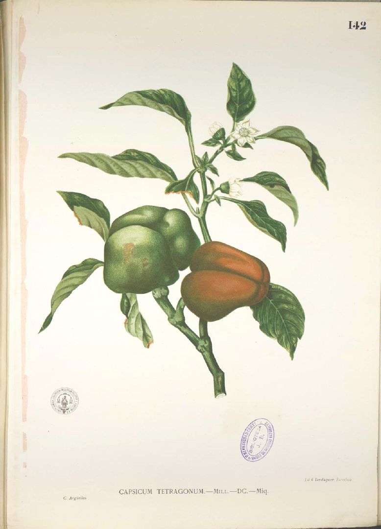 no HD illustration available (3)