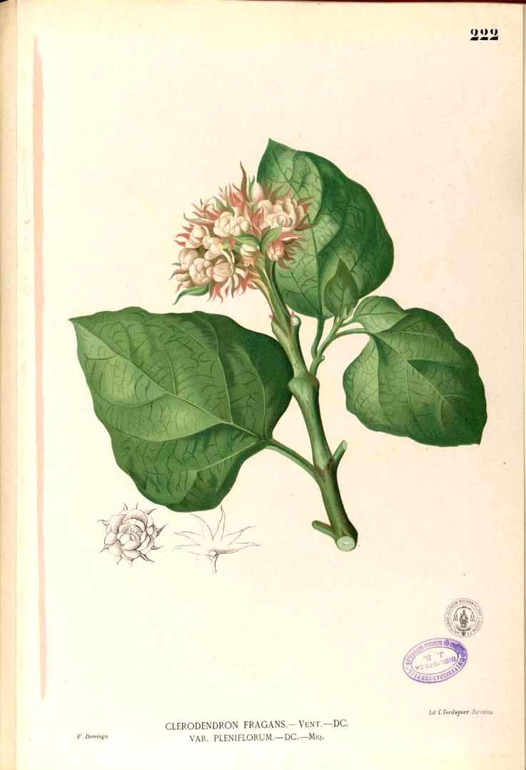 no HD illustration available (3)