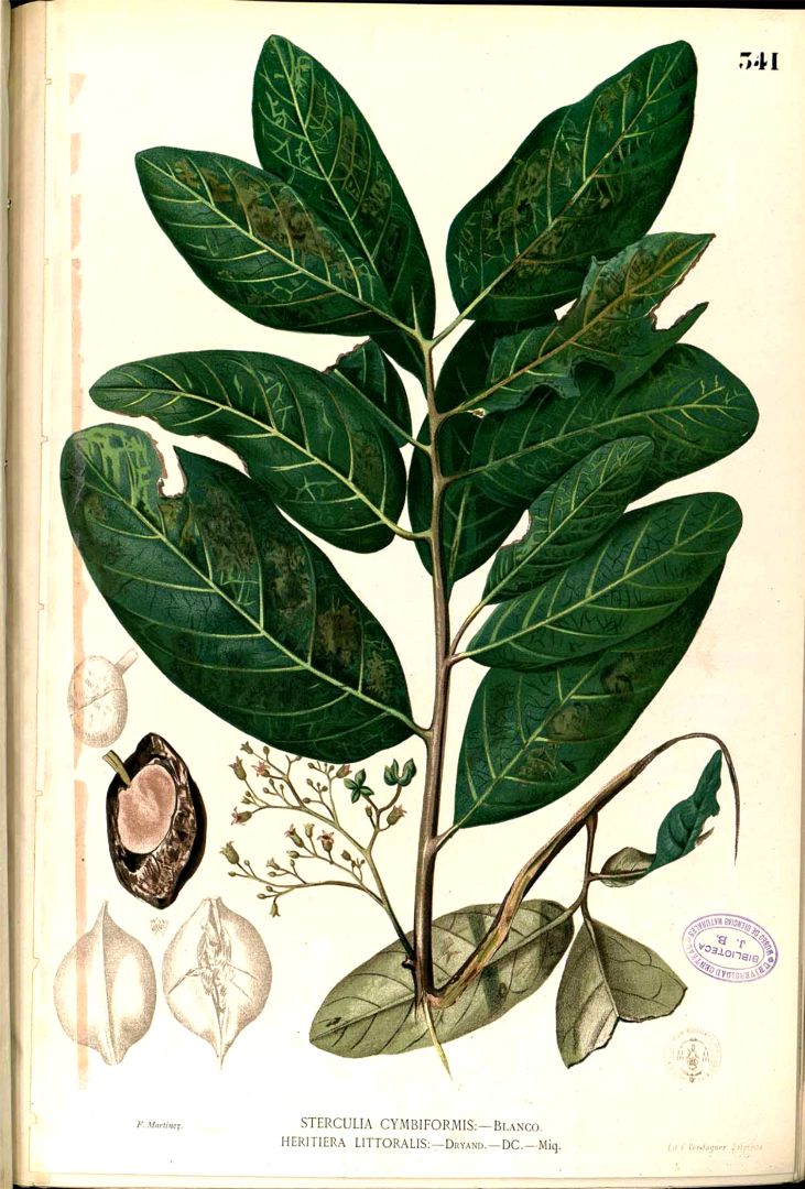 no HD illustration available (3)