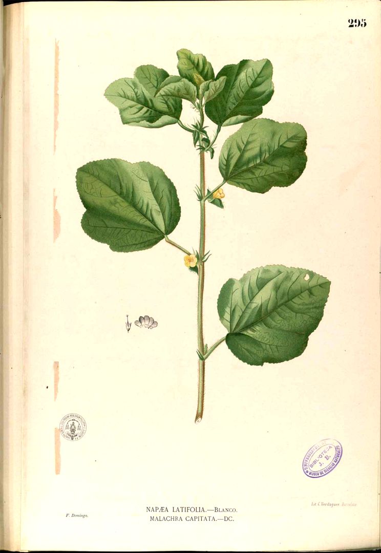 no HD illustration available (3)