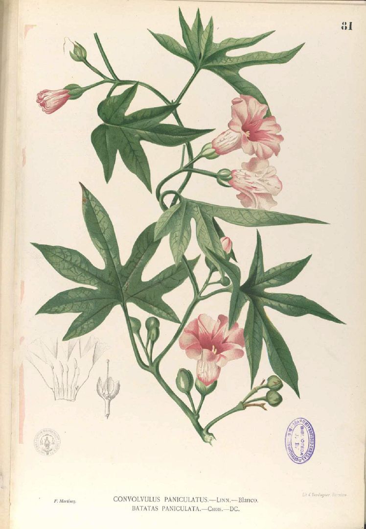 no HD illustration available (3)