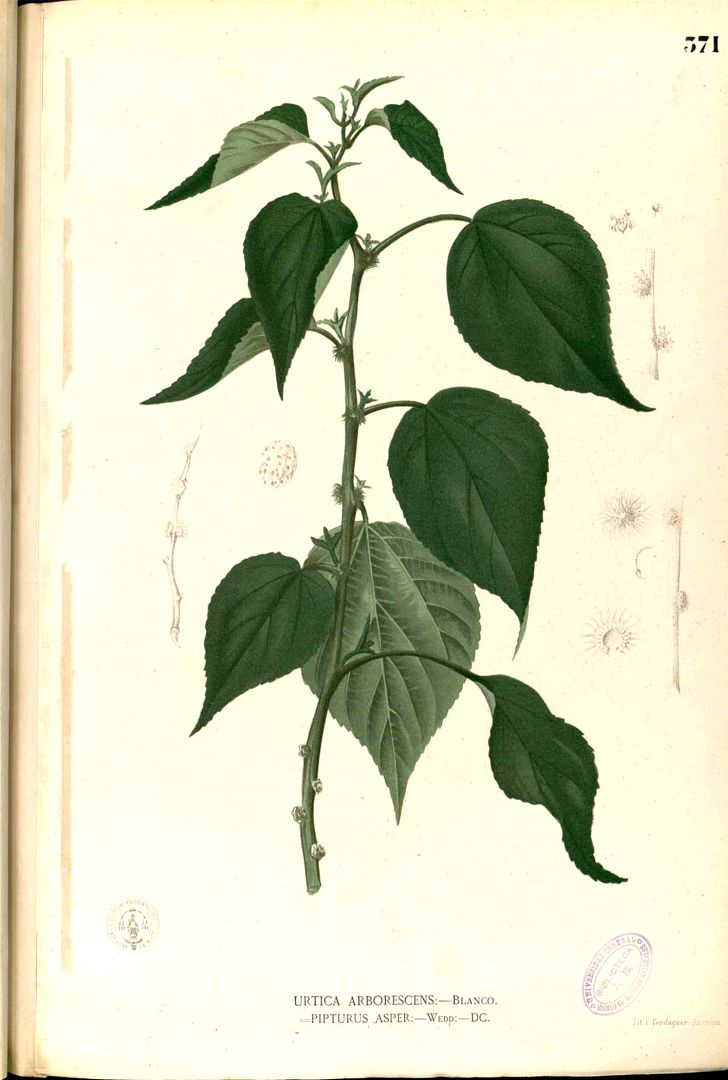 no HD illustration available (3)