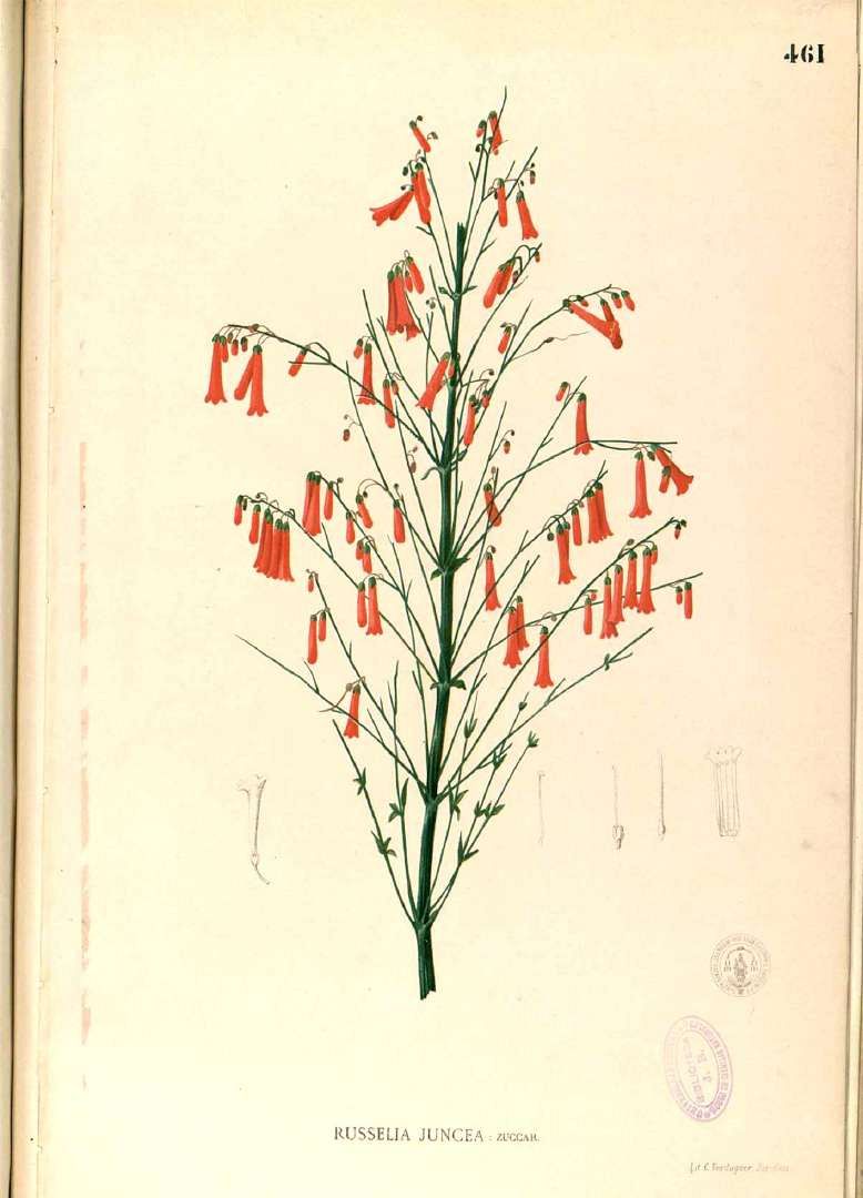 no HD illustration available (3)