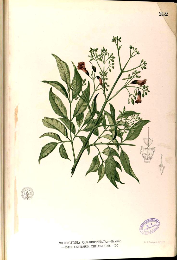 no HD illustration available (3)