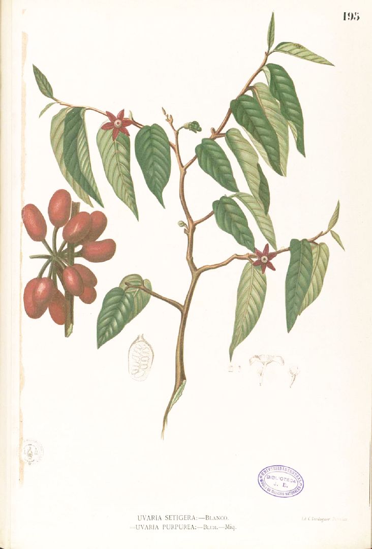 no HD illustration available (3)