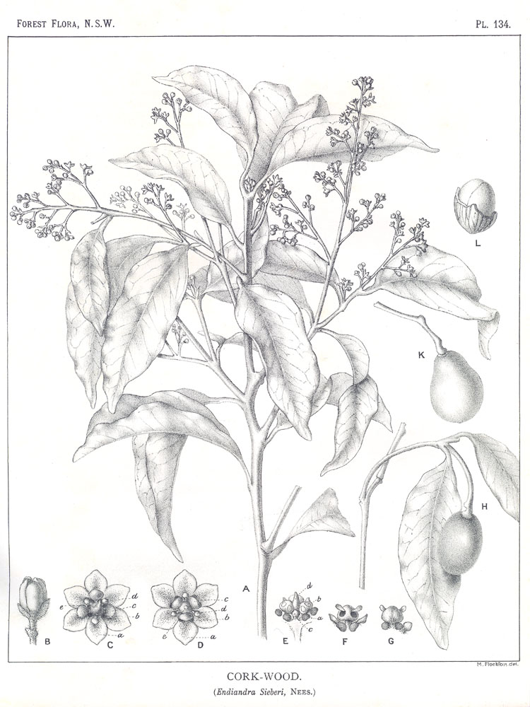 no HD illustration available (3)