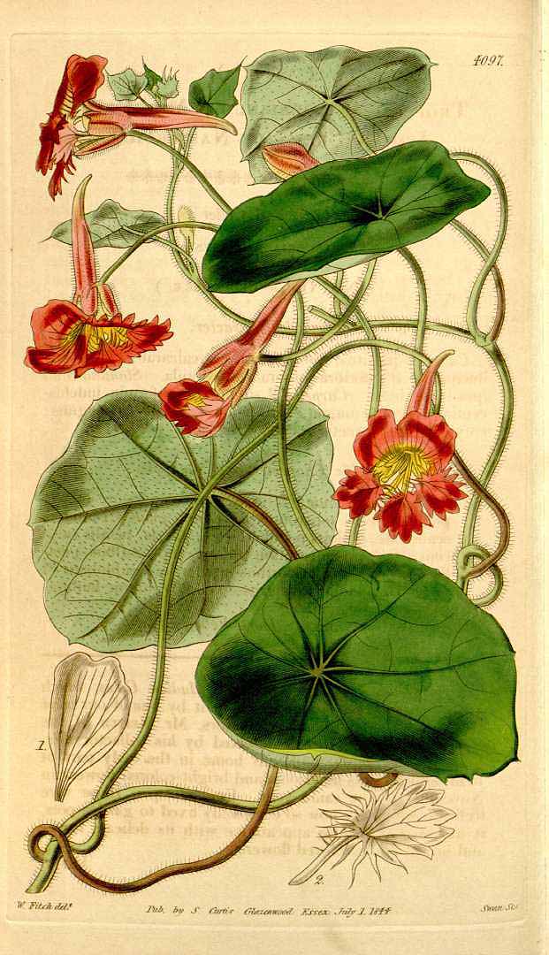 no HD illustration available (3)