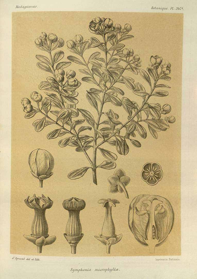 no HD illustration available (3)