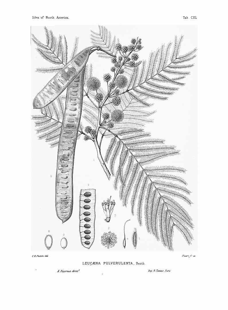 no HD illustration available (3)