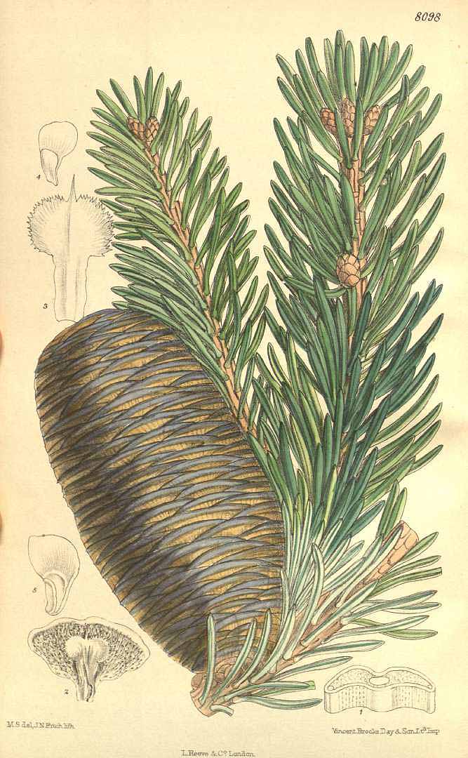 no HD illustration available (3)