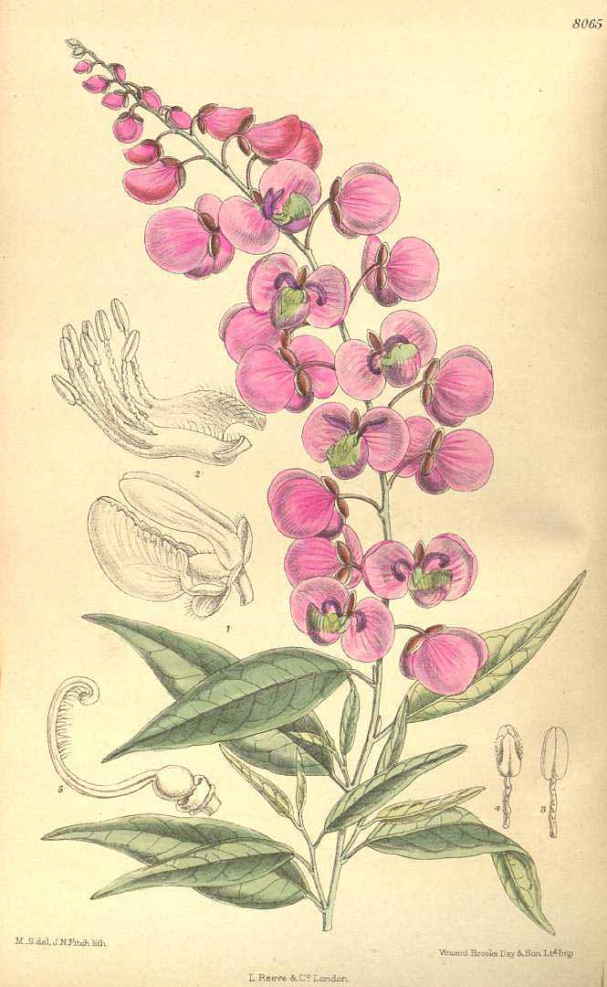 no HD illustration available (3)