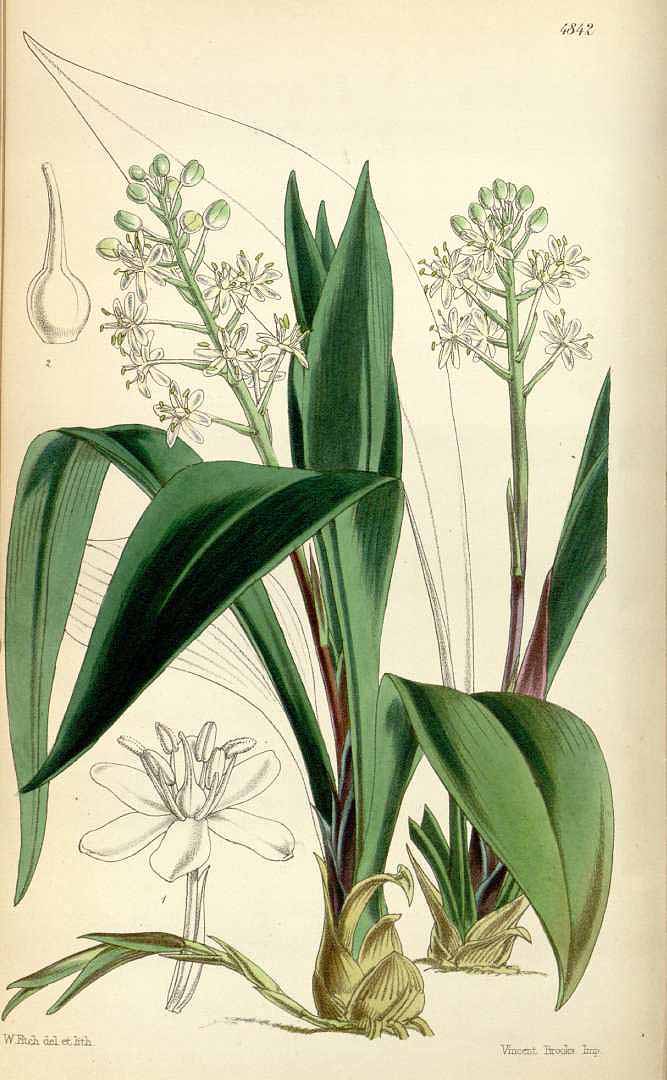 no HD illustration available (3)