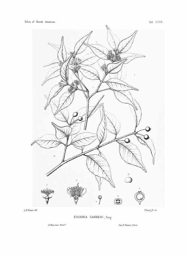 no HD illustration available (3)