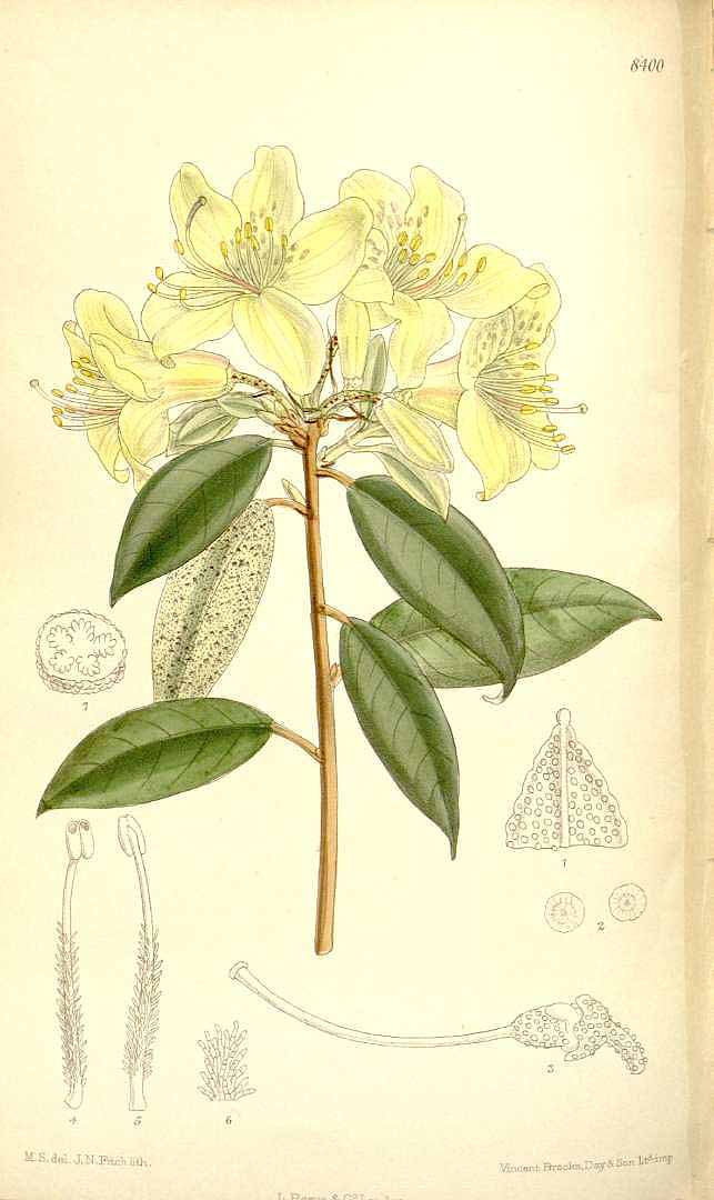 no HD illustration available (3)