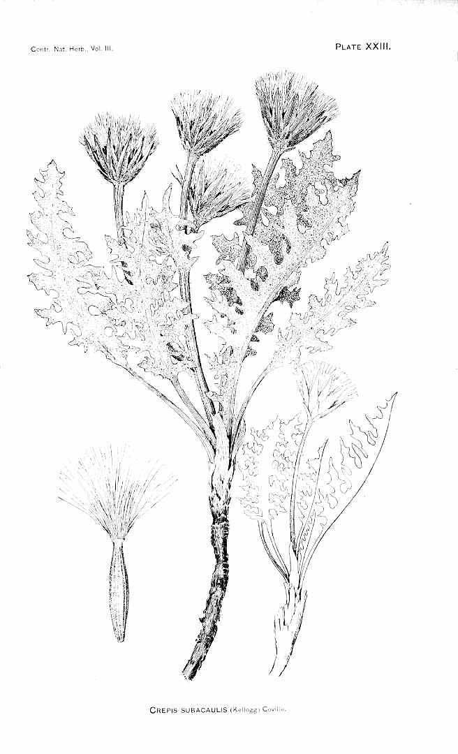 no HD illustration available (3)