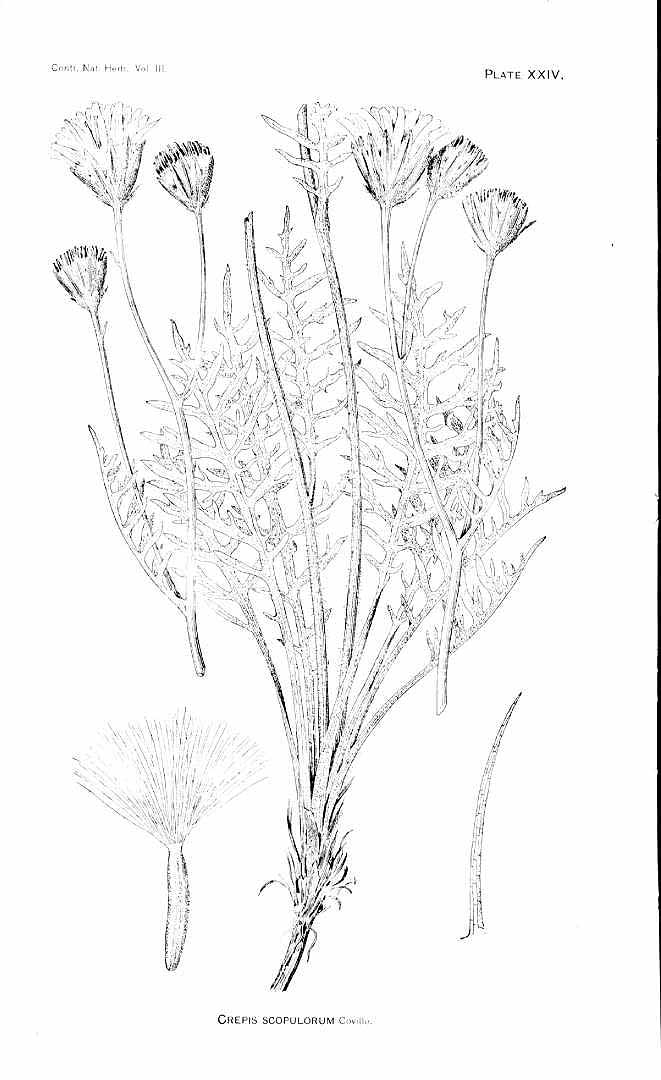 no HD illustration available (3)