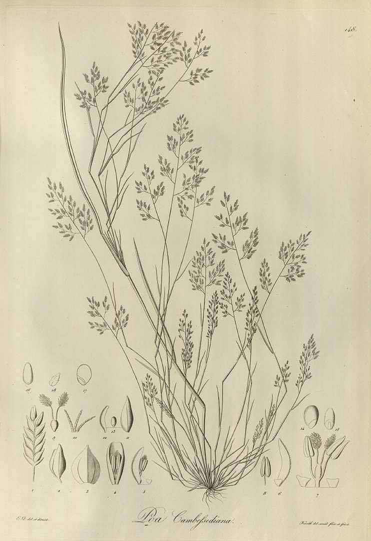 no HD illustration available (3)