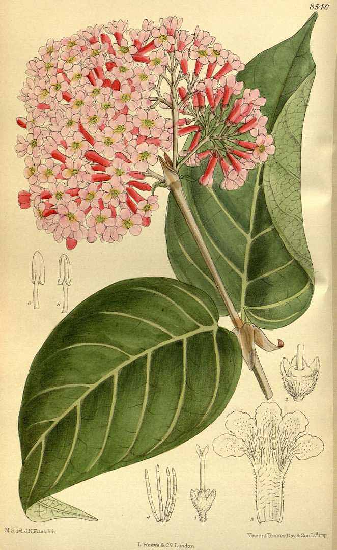 no HD illustration available (3)