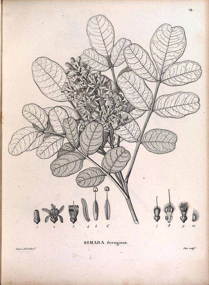 no HD illustration available (3)