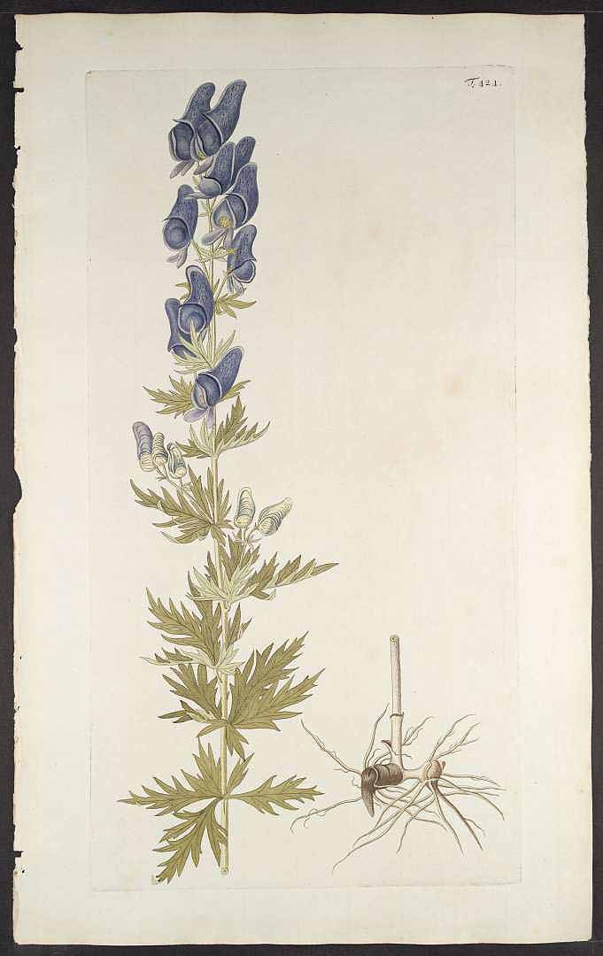 no HD illustration available (3)