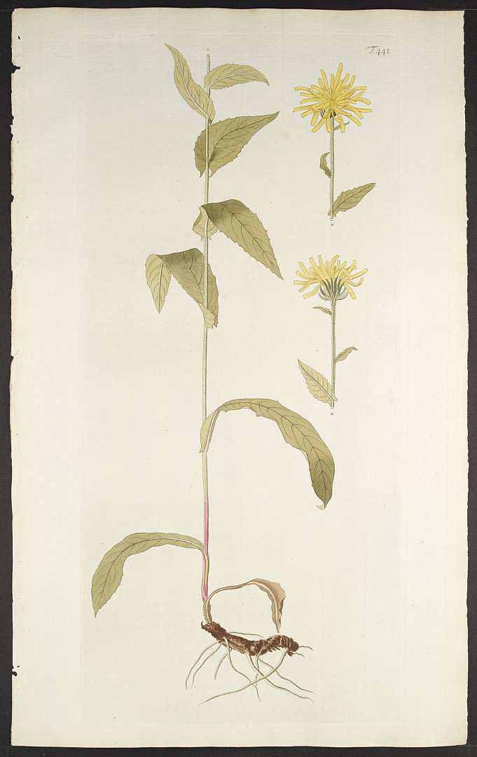 no HD illustration available (3)