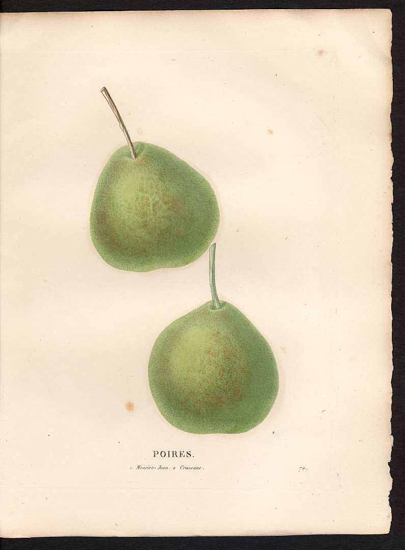 no HD illustration available (3)