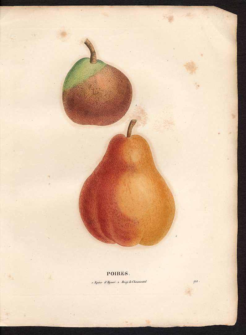 no HD illustration available (3)