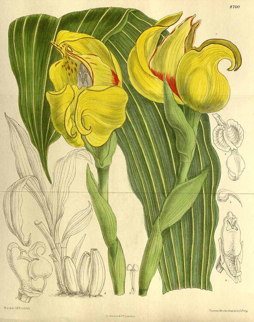 no HD illustration available (3)