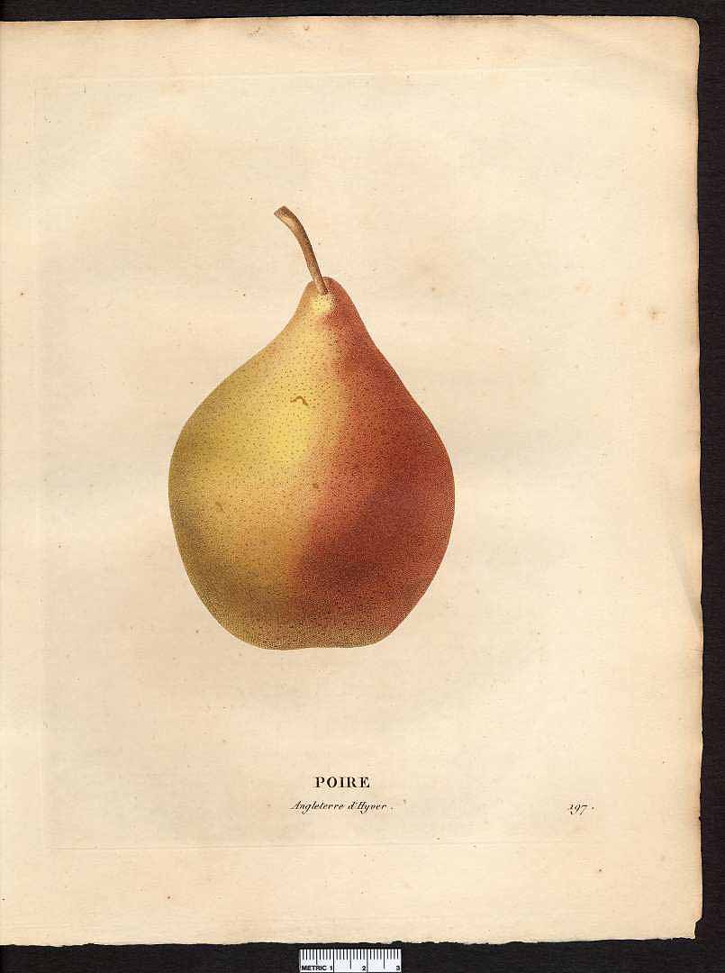 no HD illustration available (3)