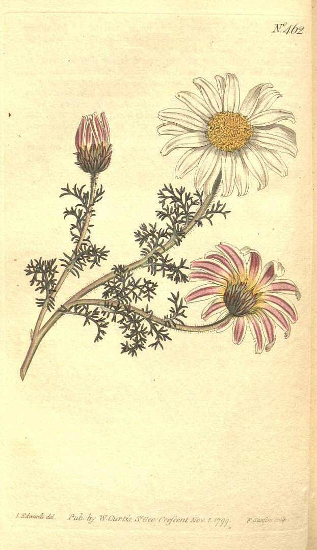 no HD illustration available (3)