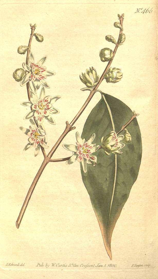 no HD illustration available (3)